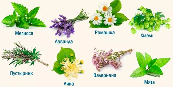 Травы полезные для сердца