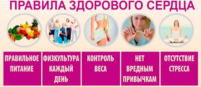 Принципы сохранения здоровья сердца и сосудов