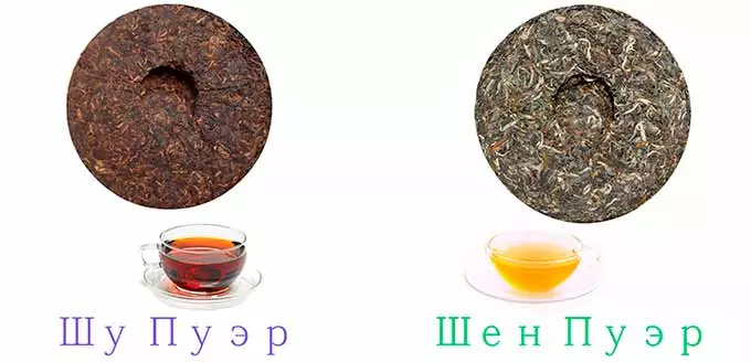 Чай Шу и Шен пуэр