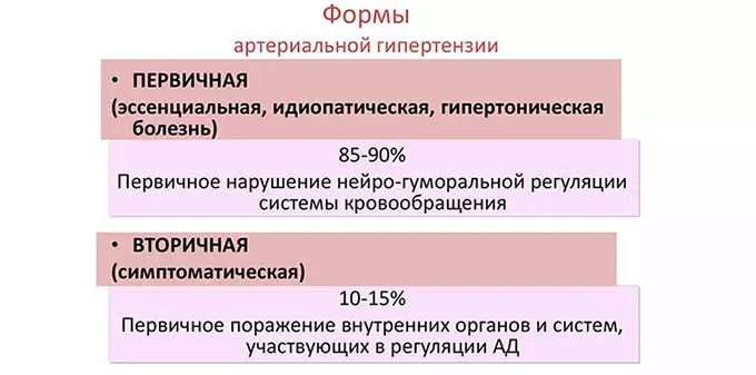 Первичная и вторичная АГ Первичная и вторичная АГ