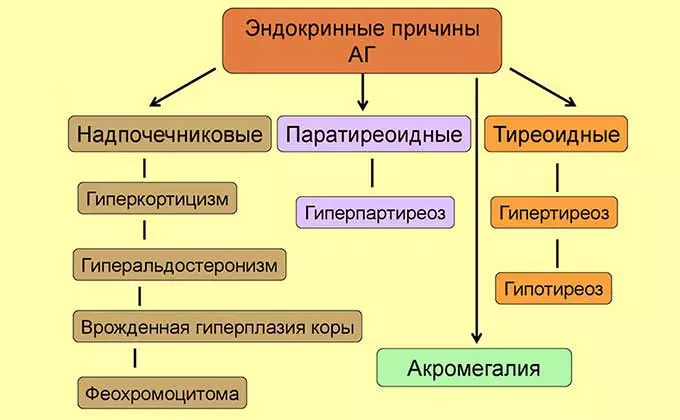 Эндокринные причины гипертонии Эндокринные причины гипертонии