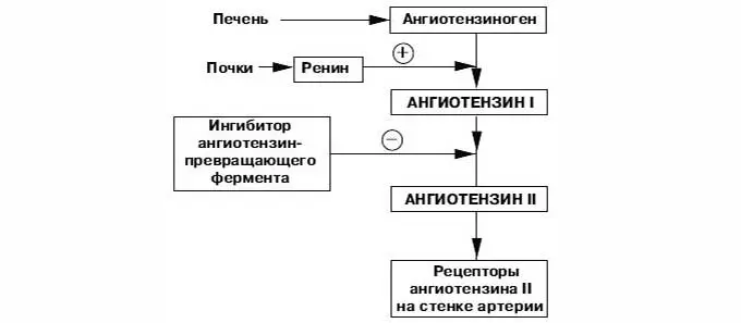 Нейрогенная гипертония Нейрогенная гипертония